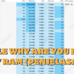 Google Why Are You Eating My Ram (Penjelasan)